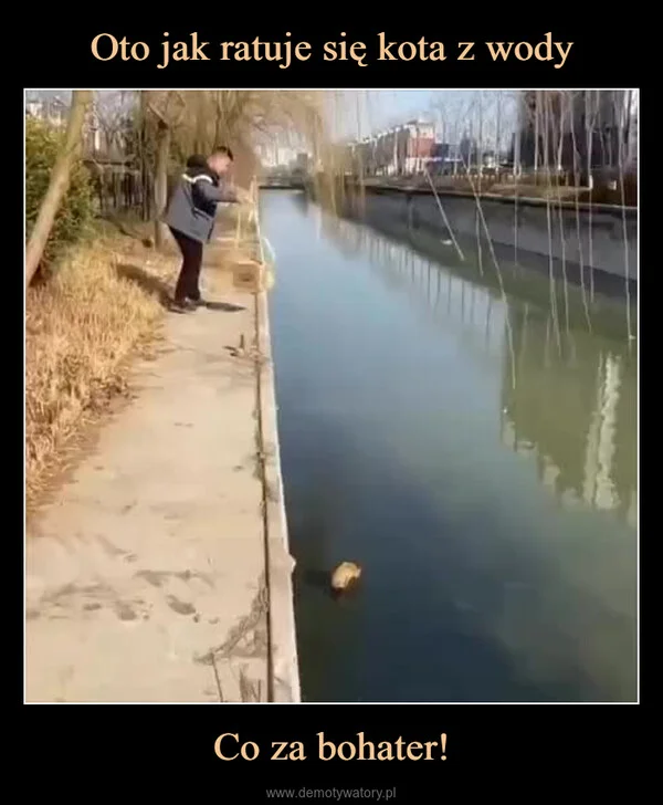 
    Oto jak ratuje się kota z wody Co za bohater!