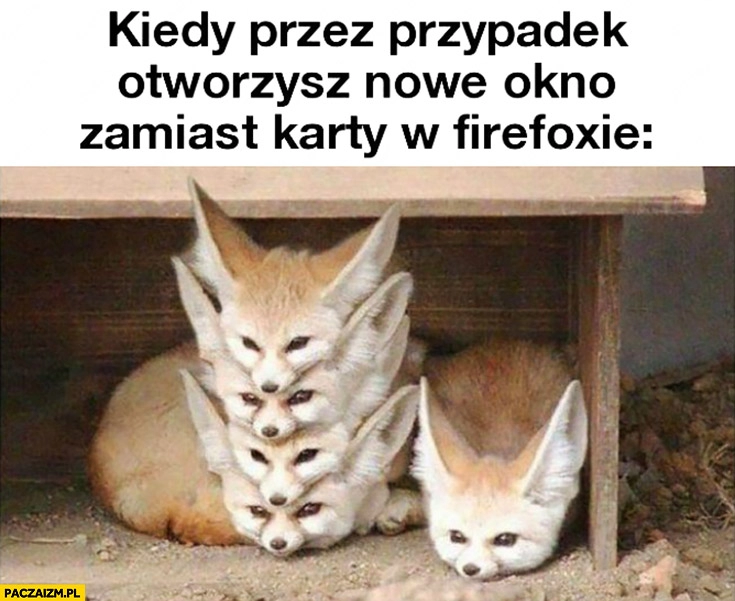 
    Kiedy przez przypadek otworzysz nowe okno zamiast karty w Firefoxie lisy