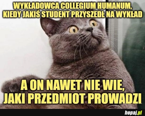 
    Wykłady.