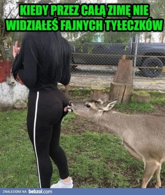 
    Jak miło 