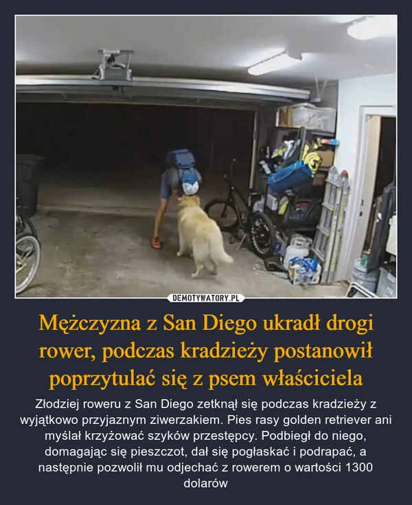 
    Mężczyzna z San Diego ukradł drogi rower, podczas kradzieży postanowił poprzytulać się z psem właściciela