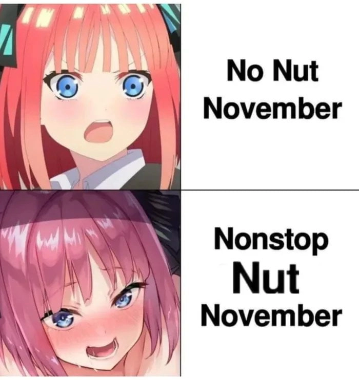 
    No No November