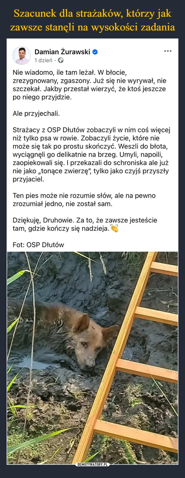 
    Szacunek dla strażaków, którzy jak zawsze stanęli na wysokości zadania