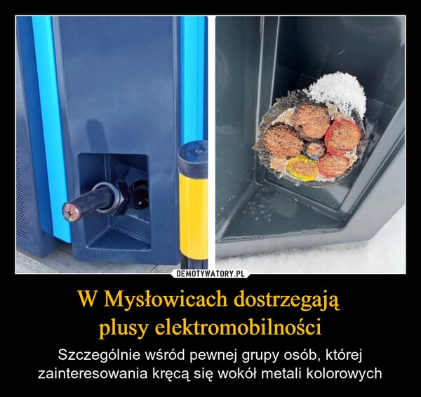 
    W Mysłowicach dostrzegają 
plusy elektromobilności