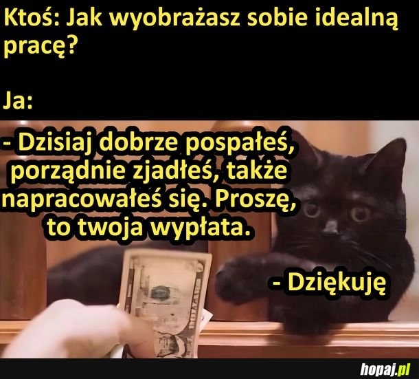 
    Idealna praca