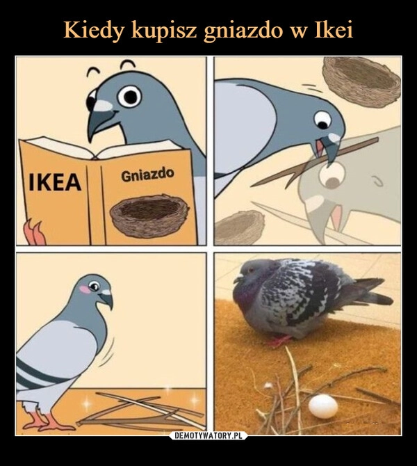 
    Kiedy kupisz gniazdo w Ikei