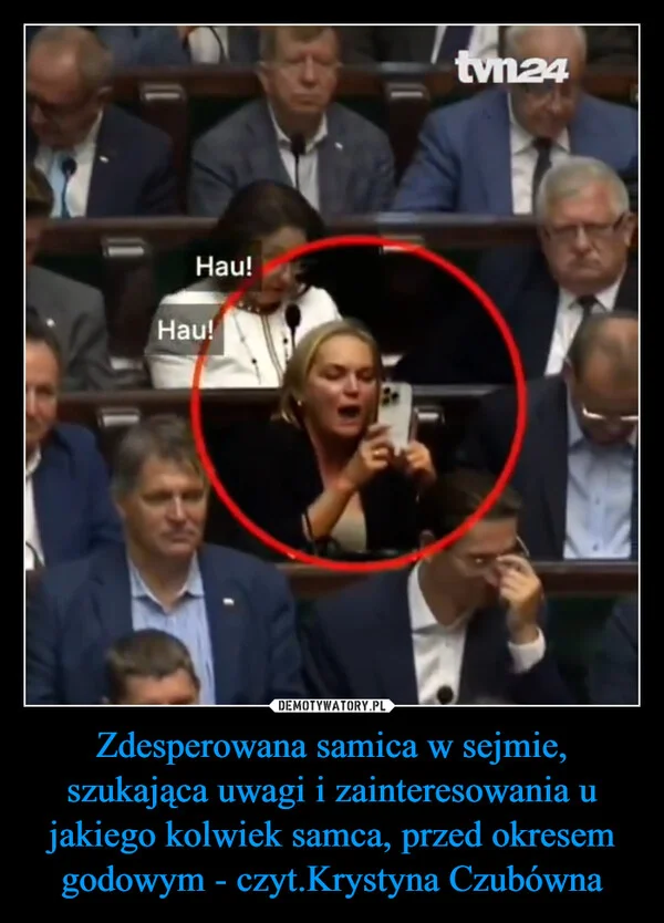 
    Zdesperowana samica w sejmie, szukająca uwagi i zainteresowania u jakiego kolwiek samca, przed okresem godowym - czyt.Krystyna Czubówna