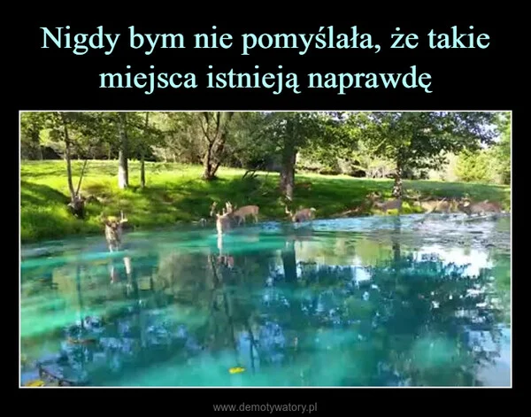 
    Nigdy bym nie pomyślała, że takie miejsca istnieją naprawdę