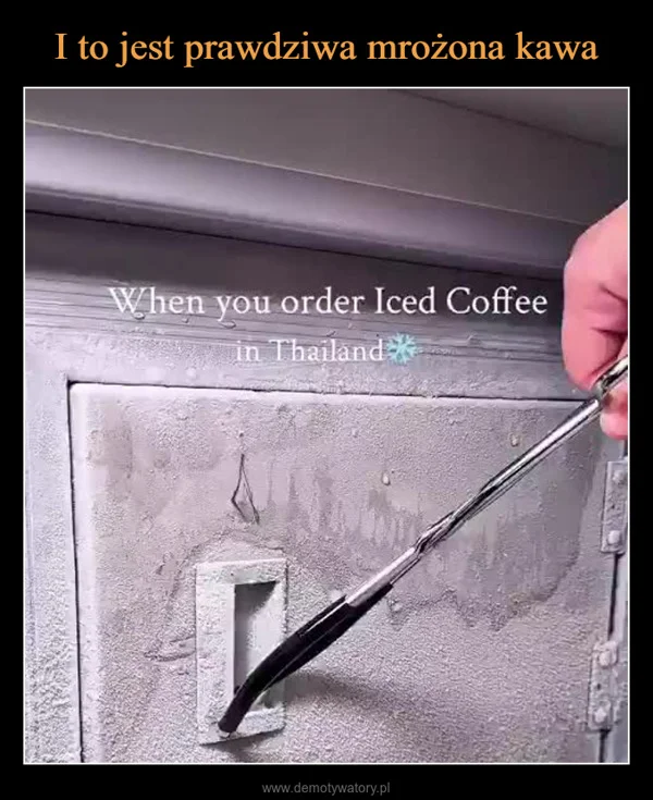 
    I to jest prawdziwa mrożona kawa