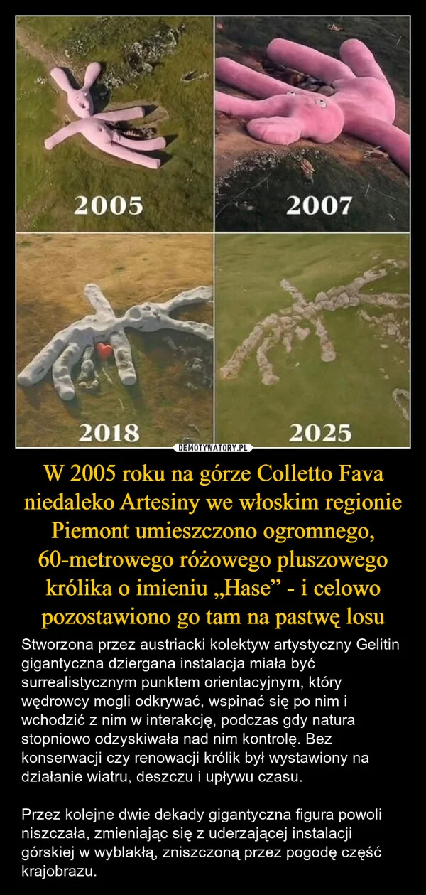 
    W 2005 roku na górze Colletto Fava niedaleko Artesiny we włoskim regionie Piemont umieszczono ogromnego, 60-metrowego różowego pluszowego królika o imieniu „Hase” - i celowo pozostawiono go tam na pastwę losu
