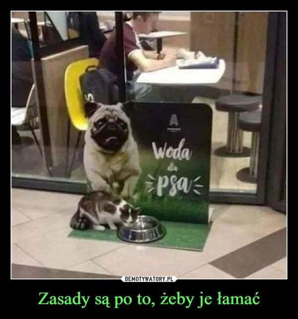 
    Zasady są po to, żeby je łamać