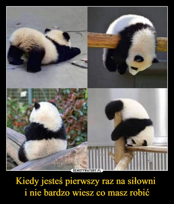
    Kiedy jesteś pierwszy raz na siłowni 
i nie bardzo wiesz co masz robić
