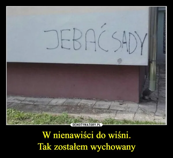 
    W nienawiści do wiśni. Tak zostałem wychowany