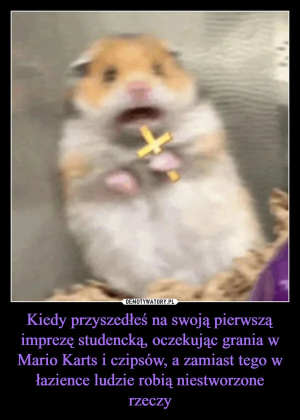
    Kiedy przyszedłeś na swoją pierwszą imprezę studencką, oczekując grania w Mario Karts i czipsów, a zamiast tego w łazience ludzie robią niestworzone rzeczy