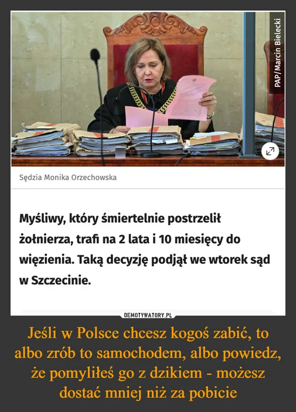 Jeśli w Polsce chcesz kogoś zabić, to albo zrób to samochodem, albo powiedz, że pomyliłeś go z dzikiem - możesz dostać mniej niż za pobicie