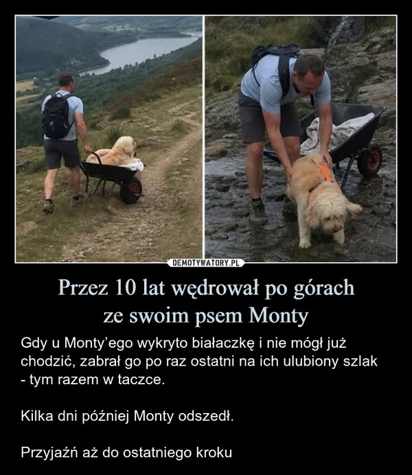 Przez 10 lat wędrował po górach ze swoim psem Monty