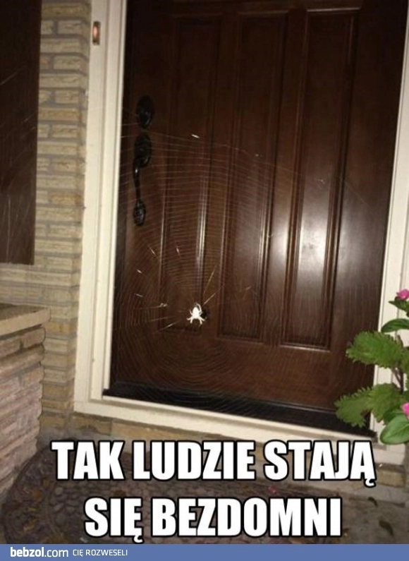 Pająk