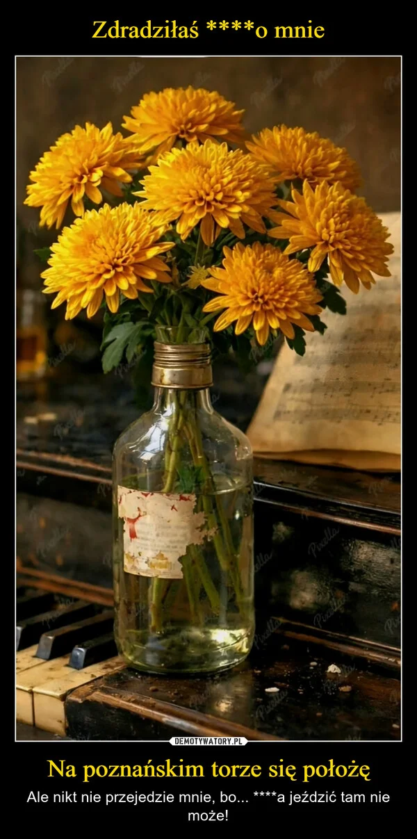 
    Zdradziłaś ****o mnie Na poznańskim torze się położę