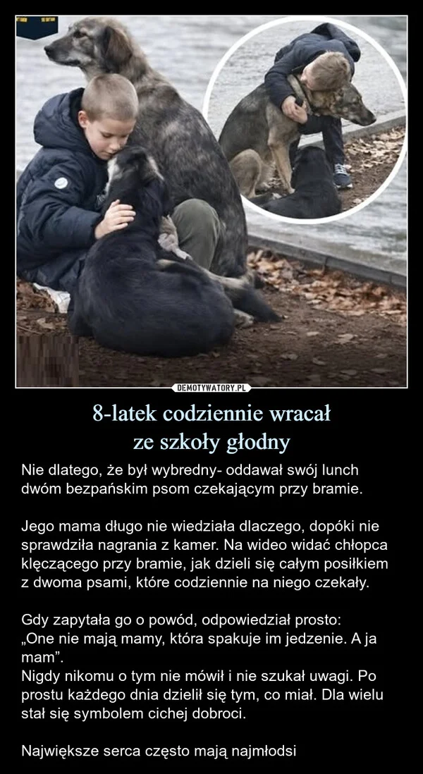 
    8-latek codziennie wracał ze szkoły głodny