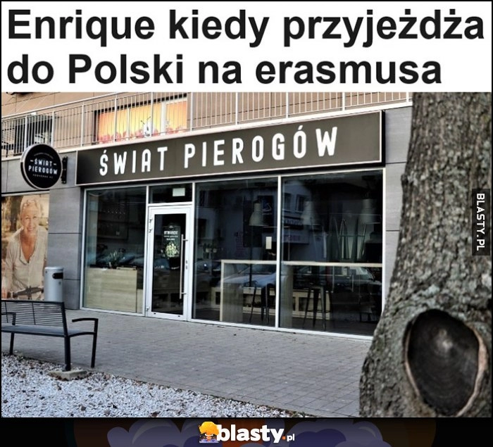 
    Enrique kiedy przyjeżdża do Polski na Erasmusa: Świat Pierogów