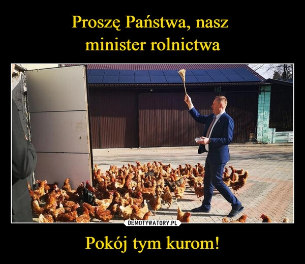 
    Proszę Państwa, nasz 
minister rolnictwa Pokój tym kurom!