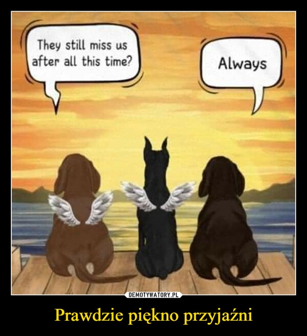 
    Prawdzie piękno przyjaźni