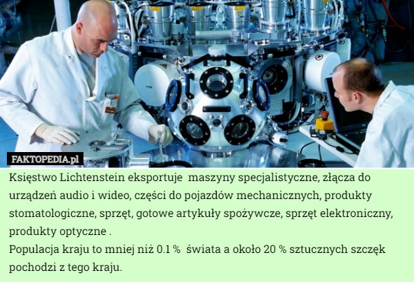 
    Księstwo Lichtenstein eksportuje  maszyny specjalistyczne, złącza do urządzeń