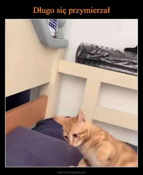 
    Długo się przymierzał