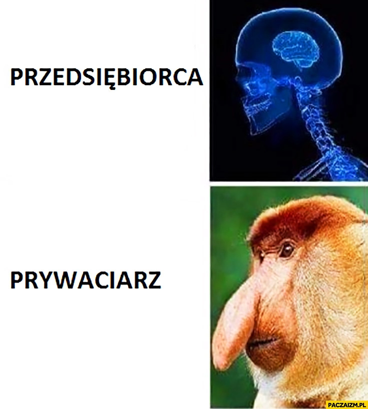 
    Przedsiębiorca prywaciarz typowy Polak nosacz