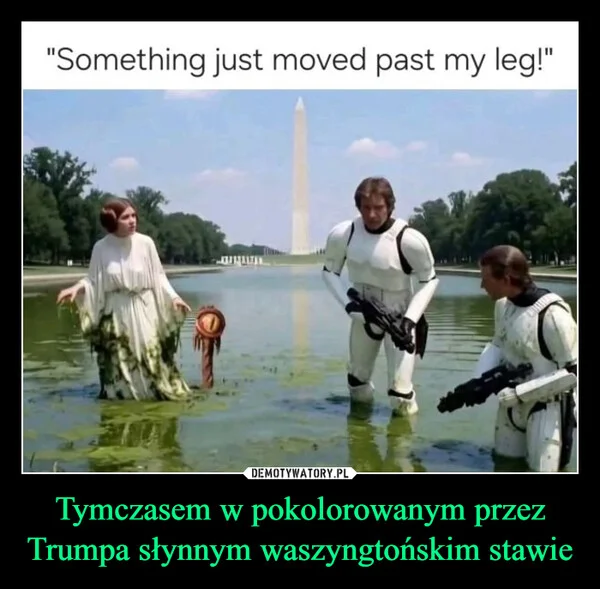 
    Tymczasem w pokolorowanym przez Trumpa słynnym waszyngtońskim stawie