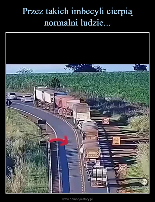 
    Przez takich imbecyli cierpią normalni ludzie...
