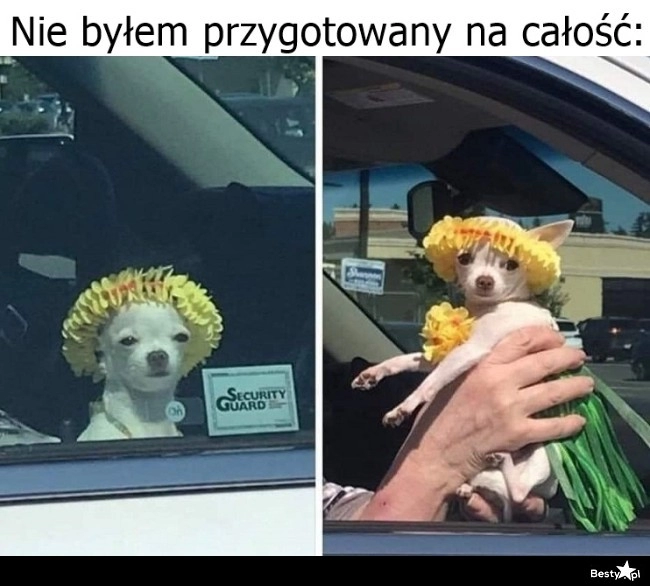 
    Nie tylko wianek 