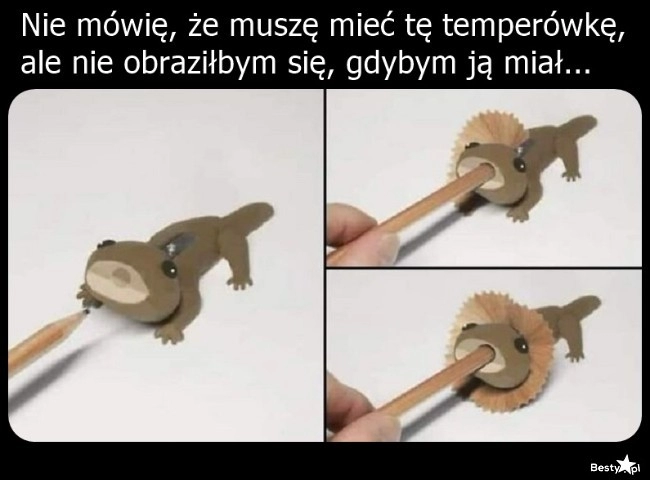 
    Temperówka 