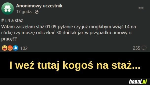 
    Stażystka roku. 