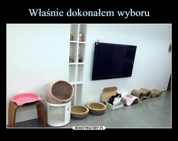 
    Właśnie dokonałem wyboru