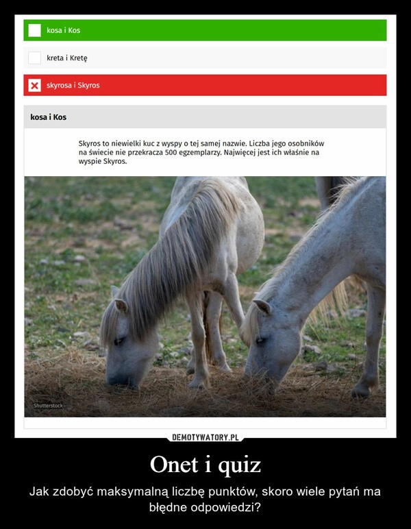 
    
Onet i quiz 