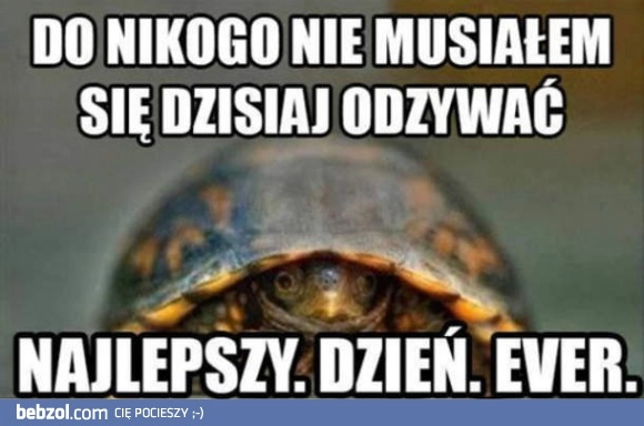 
    To był dobry dzień