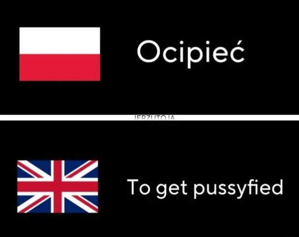 
    Ocipieć