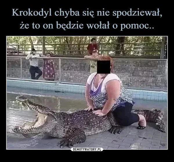 
    Krokodyl chyba się nie spodziewał, że to on będzie wołał o pomoc..