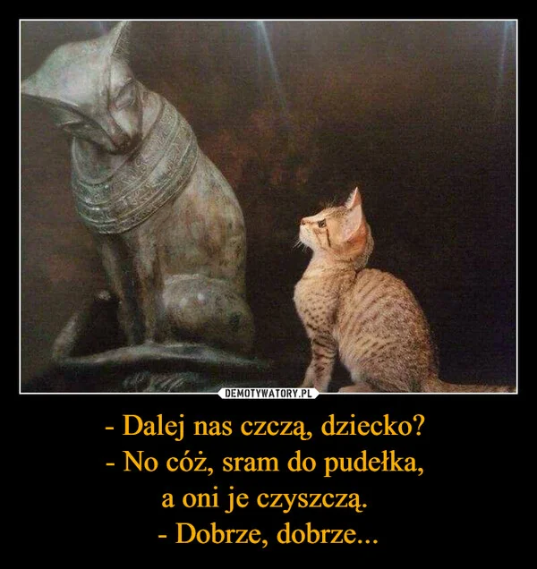 - Dalej nas czczą, dziecko? - No cóż, sram do pudełka, a oni je czyszczą. - Dobrze, dobrze...