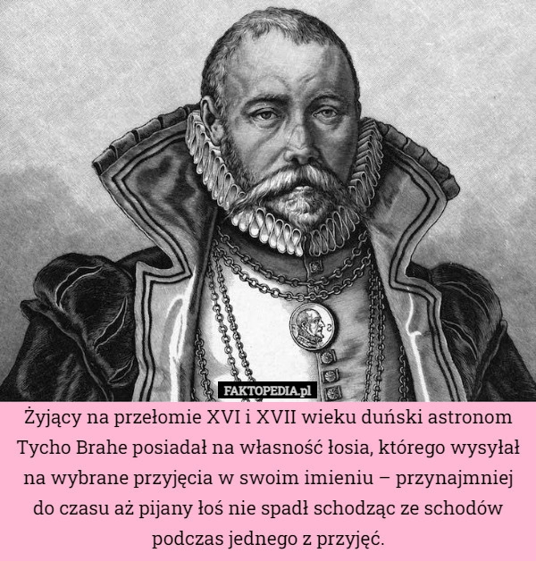 
    Żyjący na przełomie XVI i XVII wieku duński astronom Tycho Brahe posiadał