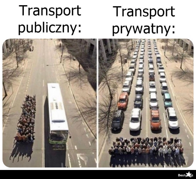 
    Transport 