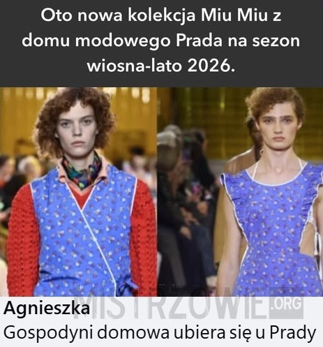 
    Kolekcja