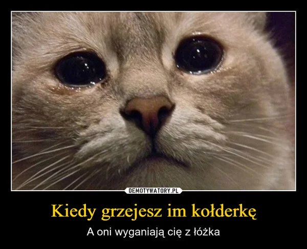 
    Kiedy grzejesz im kołderkę