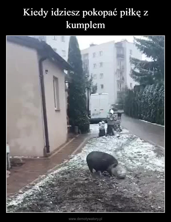 
    Kiedy idziesz pokopać piłkę z kumplem