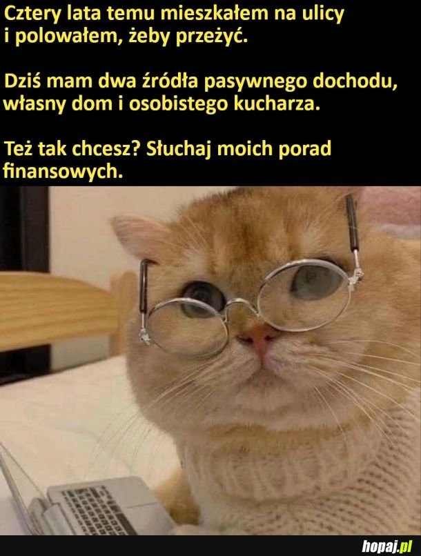 
    Zna się na rzeczy