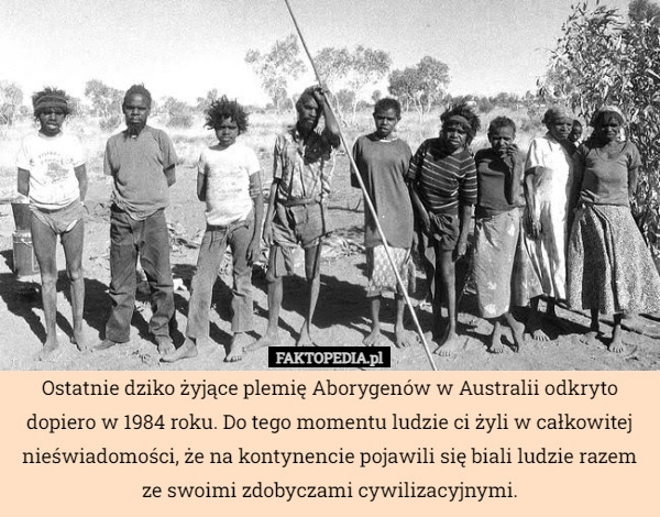 
    Ostatnie dziko żyjące plemię Aborygenów w Australii odkryto dopiero w 1984