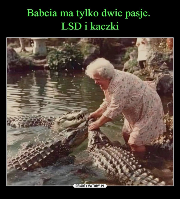 
    Babcia ma tylko dwie pasje. 
LSD i kaczki