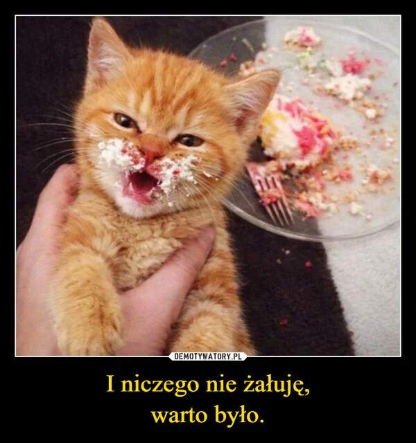 
    I niczego nie żałuję, warto było.