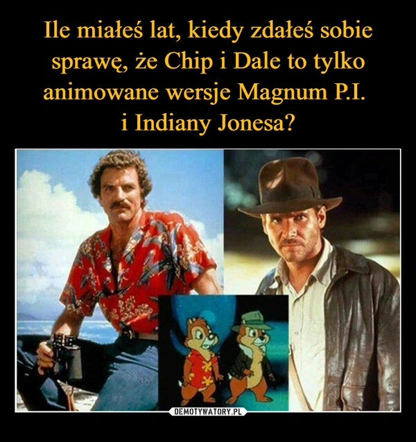 
    Ile miałeś lat, kiedy zdałeś sobie sprawę, że Chip i Dale to tylko animowane wersje Magnum P.I. 
i Indiany Jonesa?